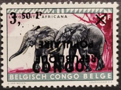Belgian Congo - Katanga - Local Overprint - Stanleyville - 7 - Elephant -27500-1.jpg