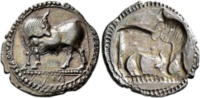 Сибарис. LUCANIA. Sybaris. Circa 550-510 BC. 1:3 Stater or Drachm.jpg